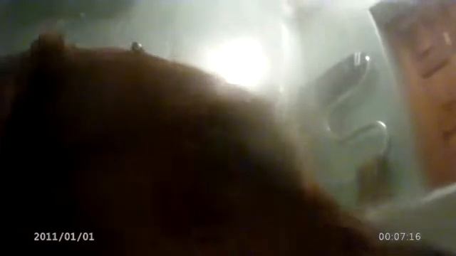 Bathing dachshund Купание Таксы смотреть онлайн