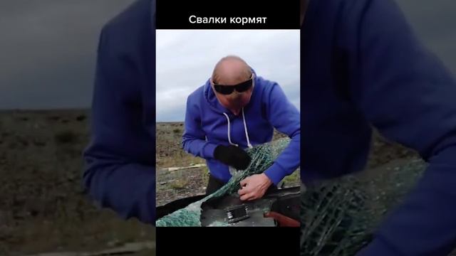 Автозапчасти, цветные металлы и другие полезные находки