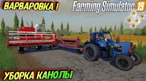 ВАРВАРОВКА FS19 НАЧАЛО ПРОХОЖДЕНИЯ убираем канолу#farming #фс19 #fs19 #fs