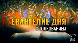 «ПОСТЫДЯТСЯ СЫНА МОЕГО» / ЕВАНГЕЛИЕ ДНЯ