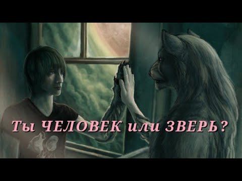 Что такое ЧЕЛОВЕЧНОСТЬ