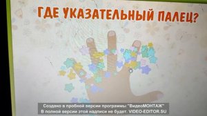 Найди правильный ответ.Обучающий мультфильм  УЧИМ ПАЛЬЦЫ РУК  Изучаем названия пальцев, играя