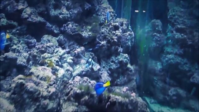 CosmoCaixa Barcelona - Museo de la Ciencia смотреть онлайн