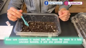 How to Germinate Haworthia & Gasteria Seeds.