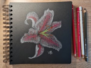 Лилия цветными карандашами || Учимся Рисовать