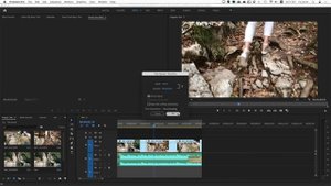 05. Как проиграть видео наоборот реверс в Premiere Pro