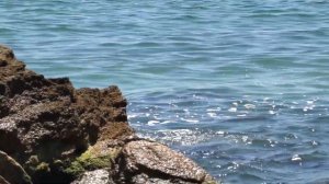 VLOG Весь день в море