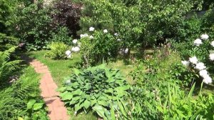 Из зимней Москвы - на дачу, в пионовый рай и птичий щебет. Relax