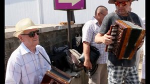 Елецкая Рояльная гармонь - традиционные народные наигрыши