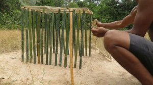 Удивительный! Человек сделал быструю ловушку для обезьян из примитивного бамбука