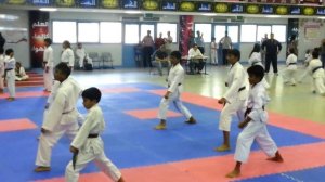 Sreegovind's Karate Brown-2 Test