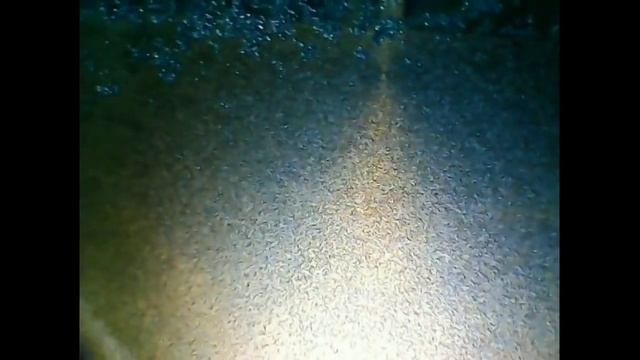 Обновлённая Лада Гранта FL | Проверяем поршни (эндоскопия двигателя 11186, 8кл) смотреть онлайн