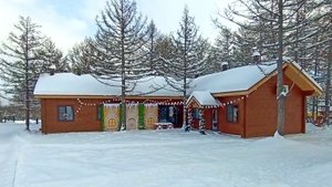 Магнитогорск, зимний Экологический парк, улица Лесопарковая (20.01.2021)