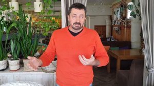 Отзыв о Коловаде | Коло-Вада отзыв | #4