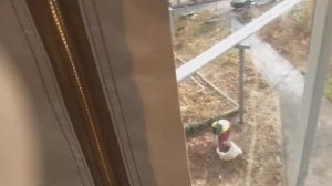 Монтаж мягких окон на балконе, вариант установки - изнутри