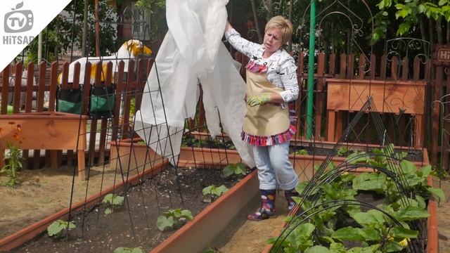 Шпалеры для Грядок ✔️ Шпалера для вьющихся растений смотреть онлайн