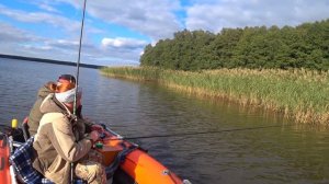 Судачье озеро.11.09.22г. Рыбалка на плотву.