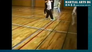 Син И, Багуа и Тунбэй - что это за боевые искусства? Cтрим Martial Arts bg 01/12/2021