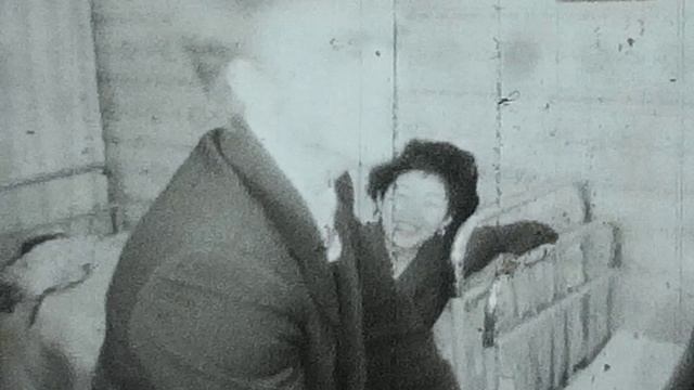 студенты