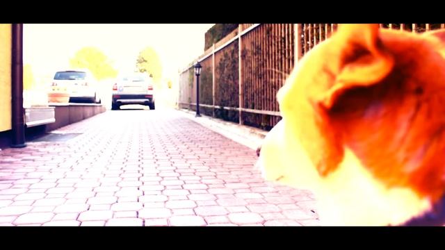 Dobra - 2011 - Banja Luka - Canon T2i (550D) + 18-55mm+ Magic Bullet Looks смотреть онлайн