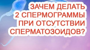 Зачем делать 2 спермограммы при отсутствии сперматозоидов? / Доктор Черепанов