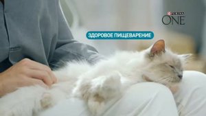 Озвучка рекламы Purina One. Боровкова Марина.