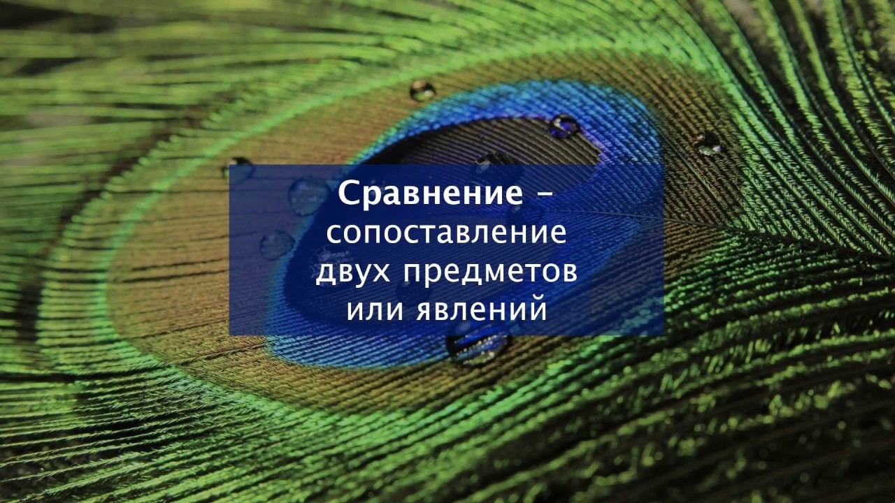 Сравнение. Литература 5 класс.