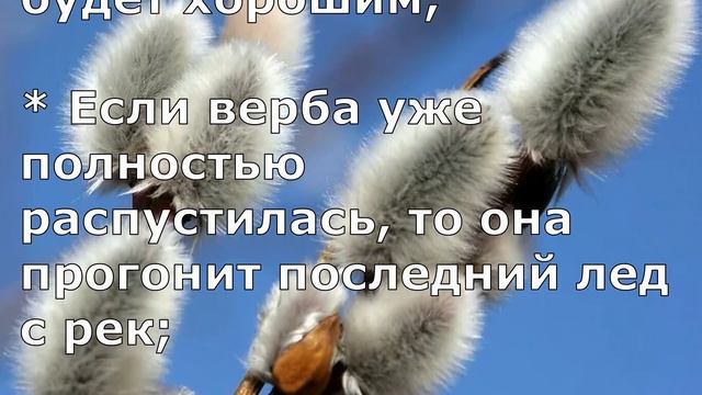 Вербное Воскресенье ?? Приметы и Обычаи на Вербное Воскресенье.Что делать НАДО, что НЕЛЬЗЯ Делать
