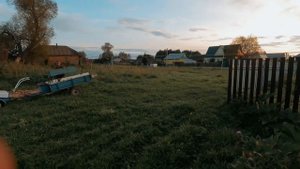 Жизнь в деревне, домой на мотоблоке из леса