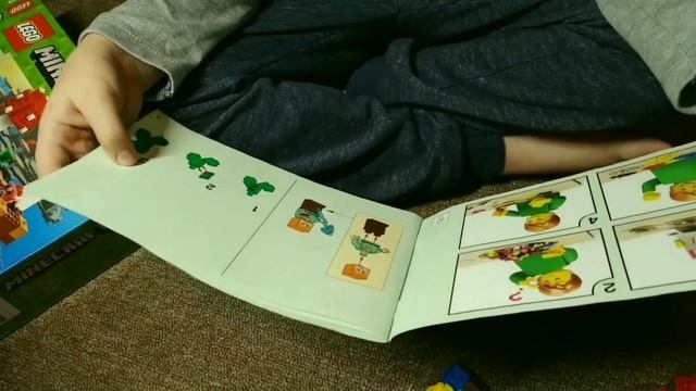LEGO Minecraft Грибной остров