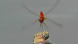 27- Река Понура. Конец мая. Поклевка Карася на поплавочную удочку. Рыбалка, Fishing