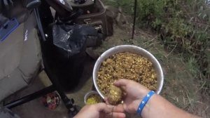 Дурыкино, рыбалка на фидер, Карп! Бешенный клев от прикормки Дунаев и кукурузы  ))