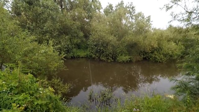 Рыбалка на малой речке. Калининград. Прохладная смотреть онлайн