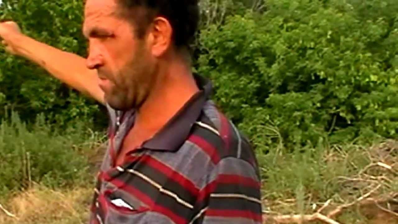 Боярышник Костя Лозное