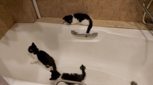 На старт, внимание, марш...