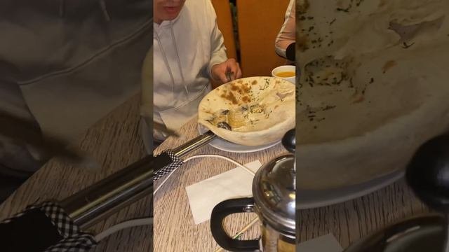 Как прошёл мой день рождения с#американскийбулли #аусси #кроличьятакса #джекрасселтерьер