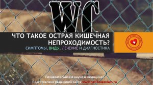 Что такое острая кишечная непроходимость? Виды, симптомы, лечение и диагностика