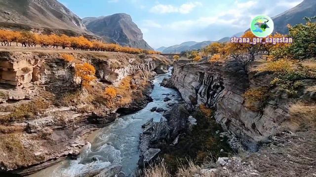 Осеняя поездка в Кази-Кумух. Новый нашид от Ибрагима Абдурахманова смотреть онлайн