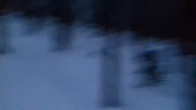 Валю сухое дерево в лесу.