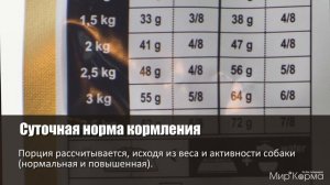 Обзор корма Royal Canin Chihuahua