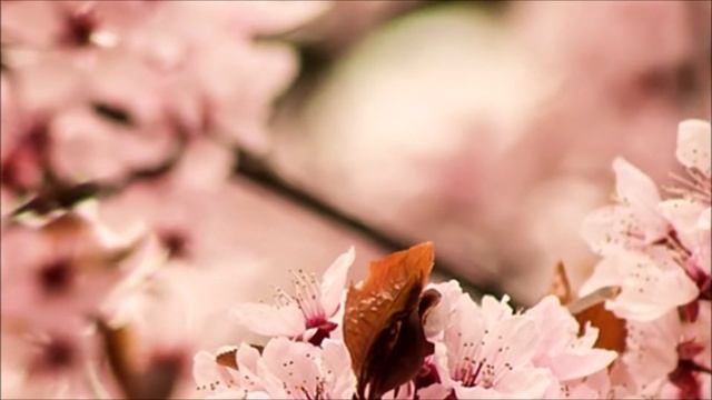 Жизнь в потоке изобилия