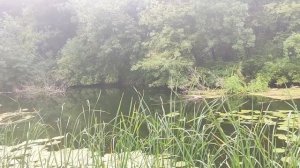 Луганщина. Луганская область. Невинная и нетронутая природа.