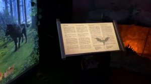 Румыния, часть 3 Замок Бран - Дом-легенда: замок Дракулы в Трансильвании