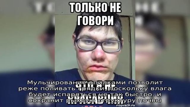 Перепревшие опилки как удобрение смотреть онлайн