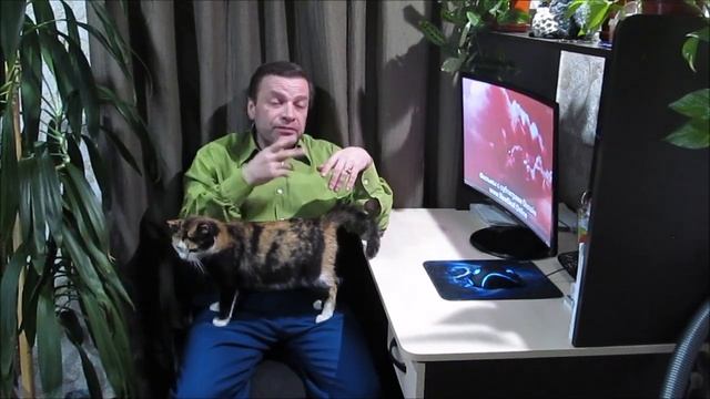 От помощи не должны баловать деньгами. смотреть онлайн