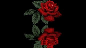 Unchained Melody - Joe Dolan