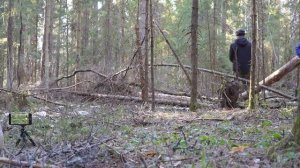 Весенняя охота на глухаря на току. Поход с ночевкой в лесные дебри.