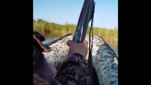 Солар 380 джет тоннель Вега и болотоход Сиа Про 6,5 л с