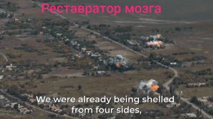 В плену все белые и пушистые...