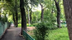 Поселок Художников Сокол - обзор объектов недвижимости Москвы